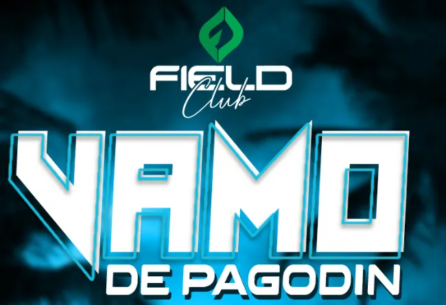 VAMO DE PAGODIN                                           vendas online