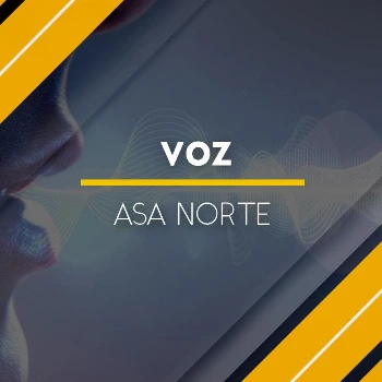 Voz